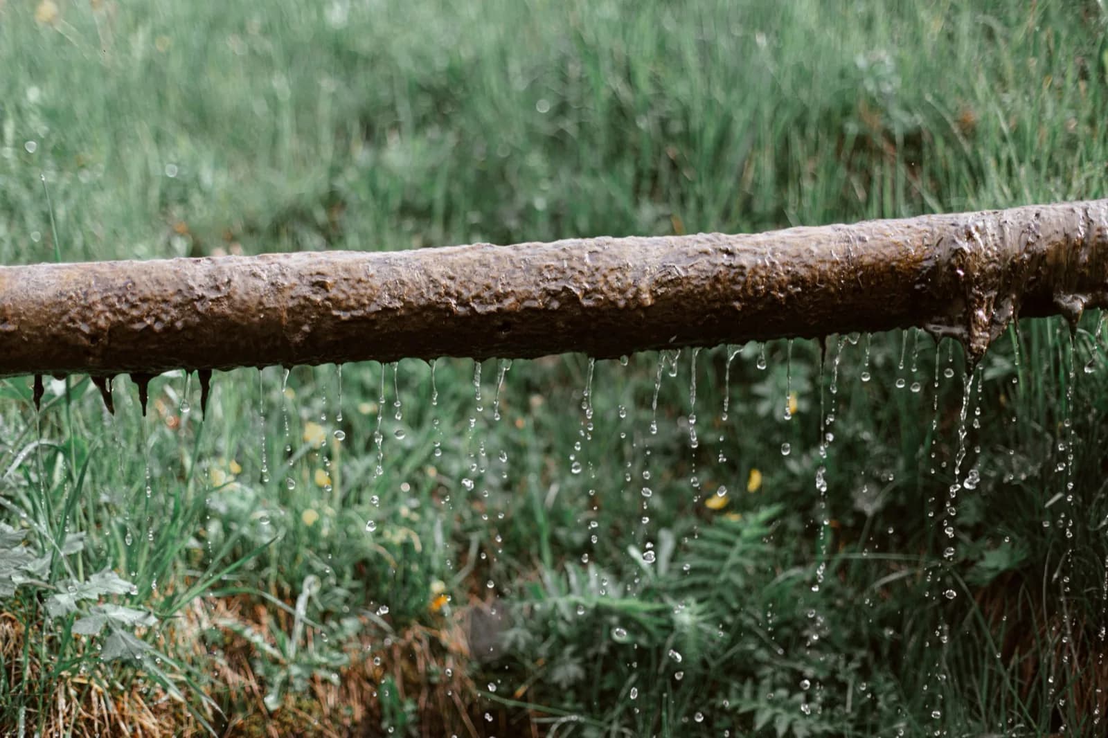 Corroded metal pipe with water actively dripping from a leak